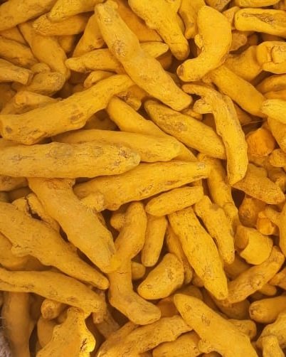 BOLD-PEANUT