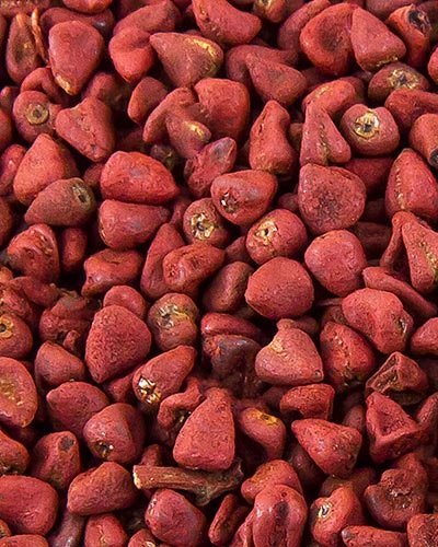 BOLD-PEANUT