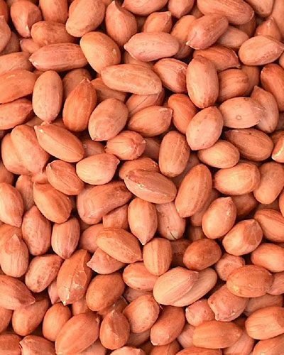 BOLD-PEANUT