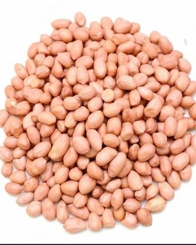 BOLD-PEANUT