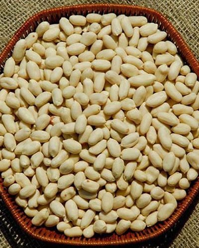 BOLD-PEANUT